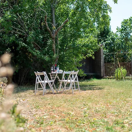 Lägenhet Le Pastel Albigeois Parking & Jardin 1km Unesco Albi